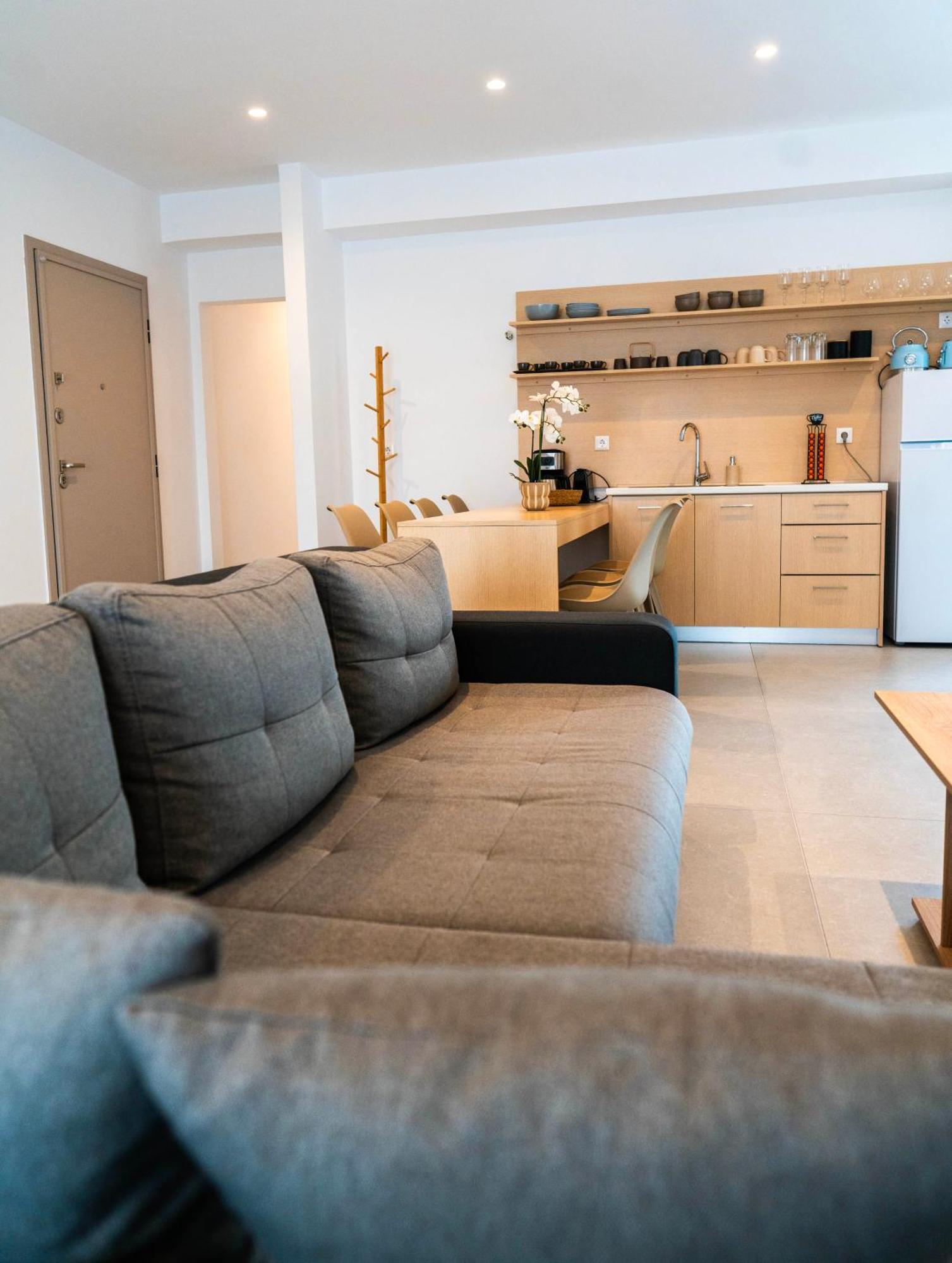 White Luxury Apartment 特里卡拉 外观 照片