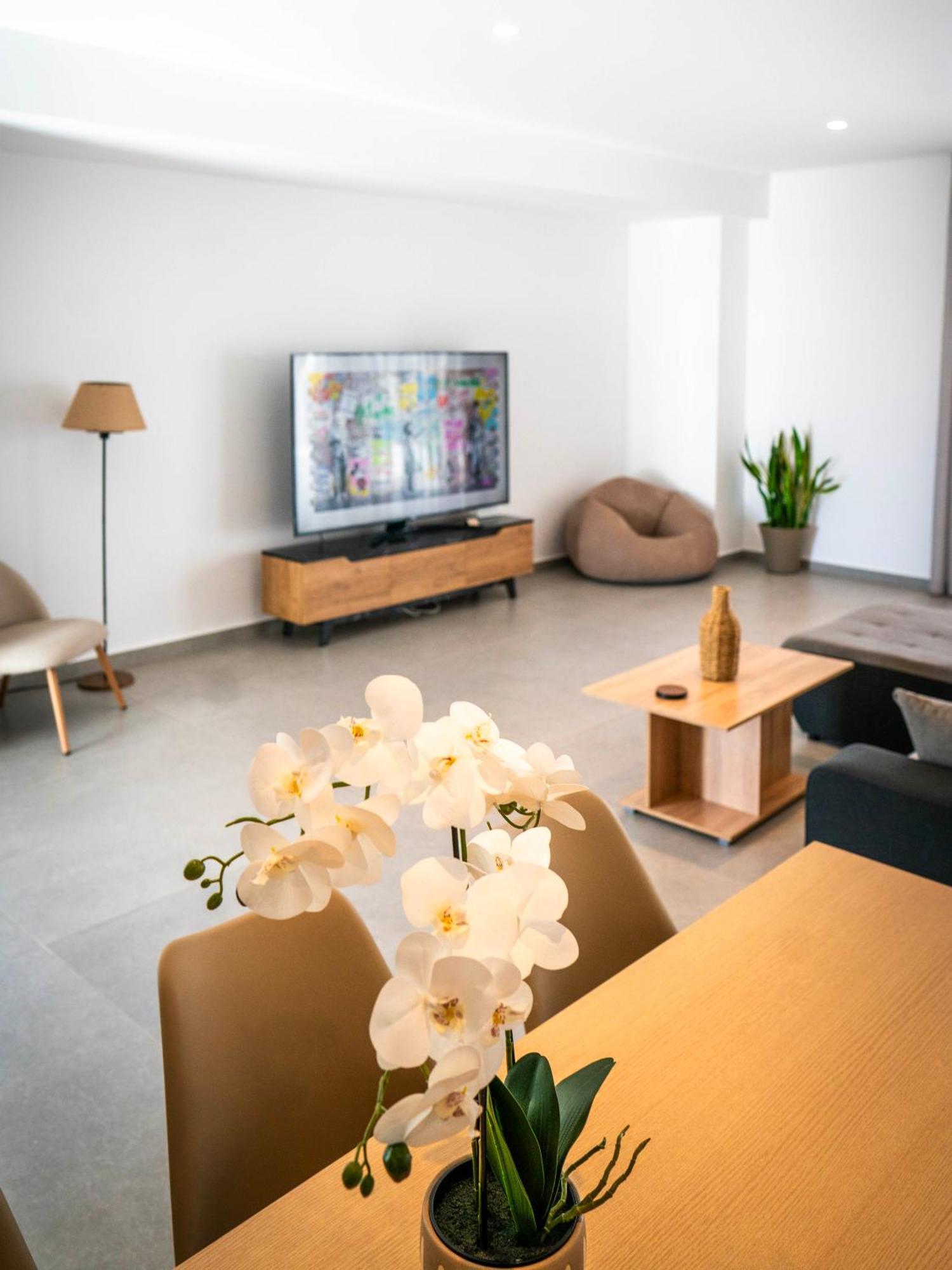 White Luxury Apartment 特里卡拉 外观 照片