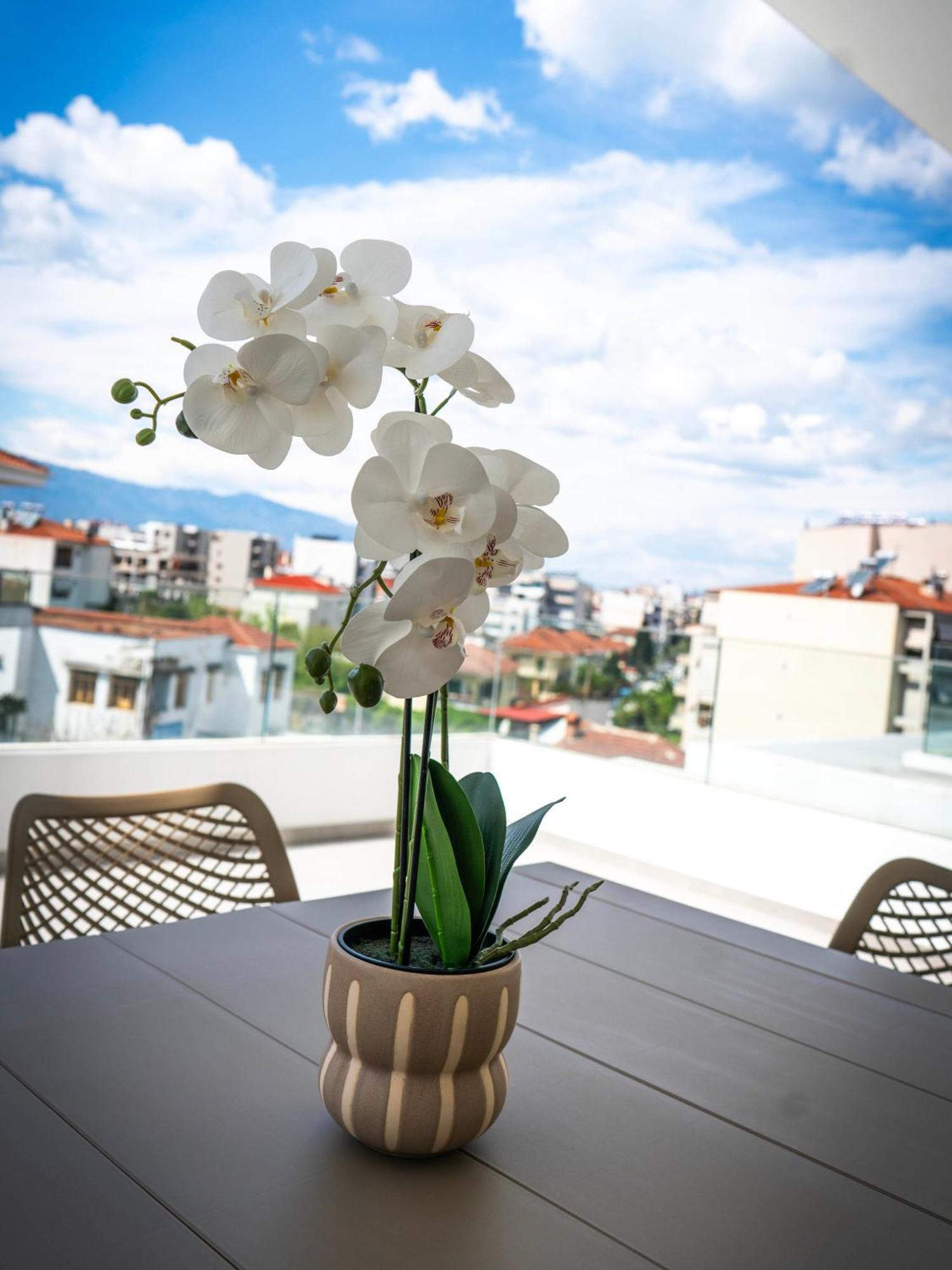White Luxury Apartment 特里卡拉 外观 照片