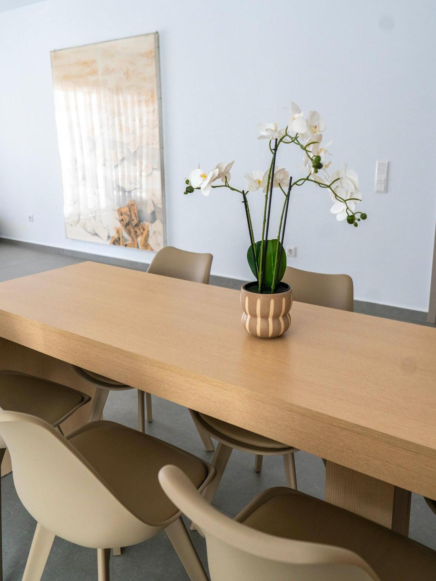 White Luxury Apartment 特里卡拉 外观 照片